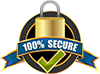 100% Secure Payment